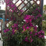 Arechi Bed & Breakfast Salerno