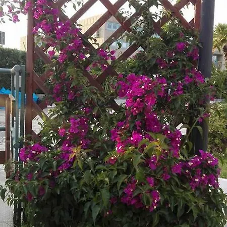 Arechi Bed and breakfast Salerno